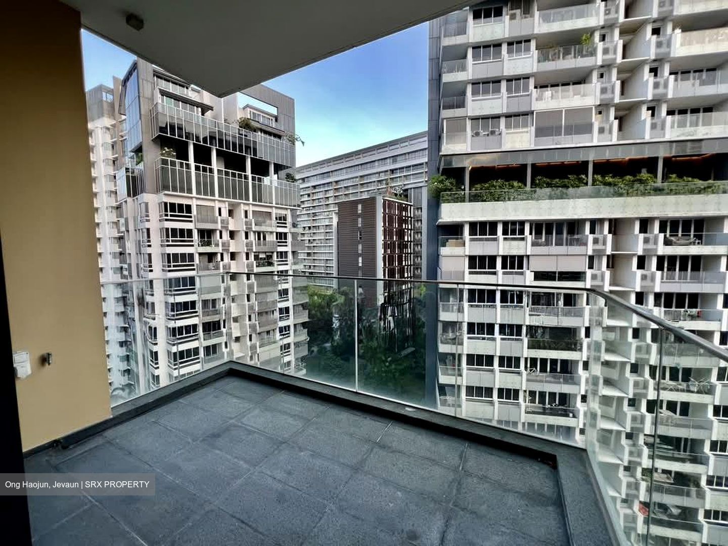 Cairnhill 16 (D9), Apartment #576703971